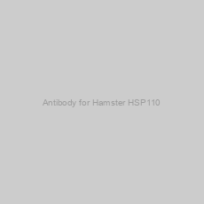 Image of Antibody for Hamster HSP110